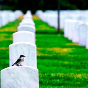 It is not an uncommon sight to see work being preformed in a cemetery.