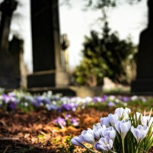 Knowing ones rights could help avoid funeral and cemetery scams.