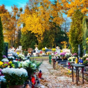 Consider local laws on cemeteries before deciding to start a family cemetery.